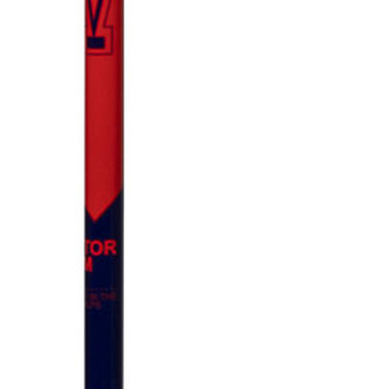 Junior ski poles Vector Team