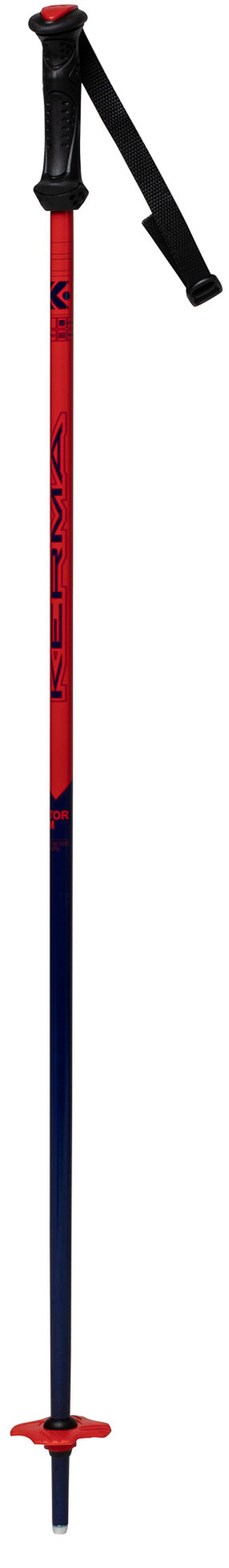 Junior ski poles Vector Team