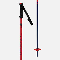 Dynastar | Lange Junior ski poles Vector Team black