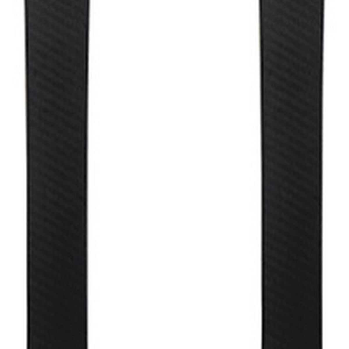 Dynastar | Lange Unisex racing skis Speed Omeglass Master SL R22