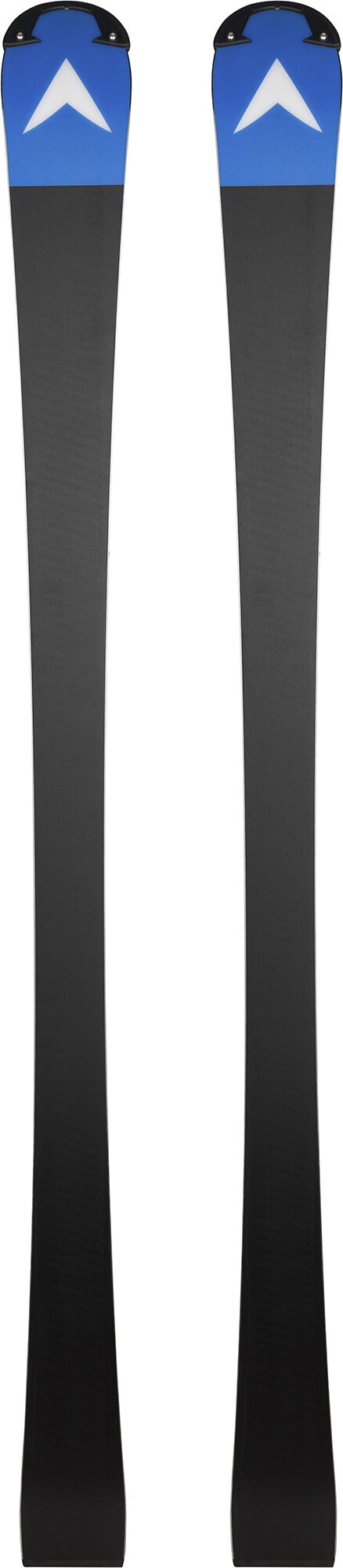 Junior racing skis Speed Omeglass Team SL R21 Pro | Racing