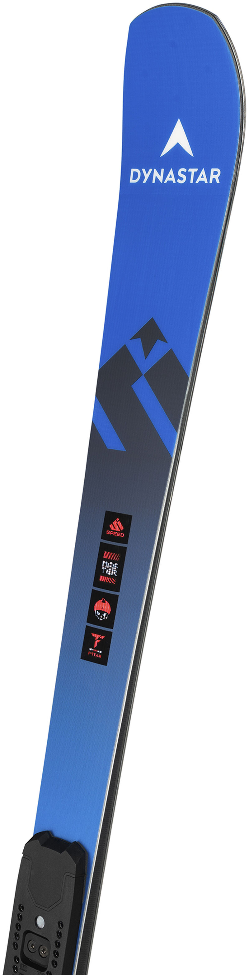 Unisex racing skis Speed Omeglass Master SL R22