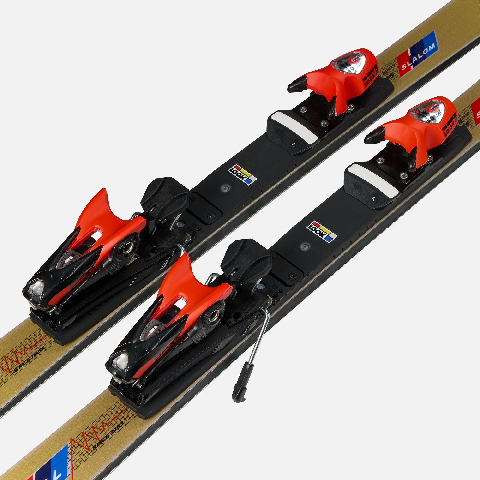 Ski Dynastar SPEED MASTER SL GOLD EDITION R22 | Racing skis