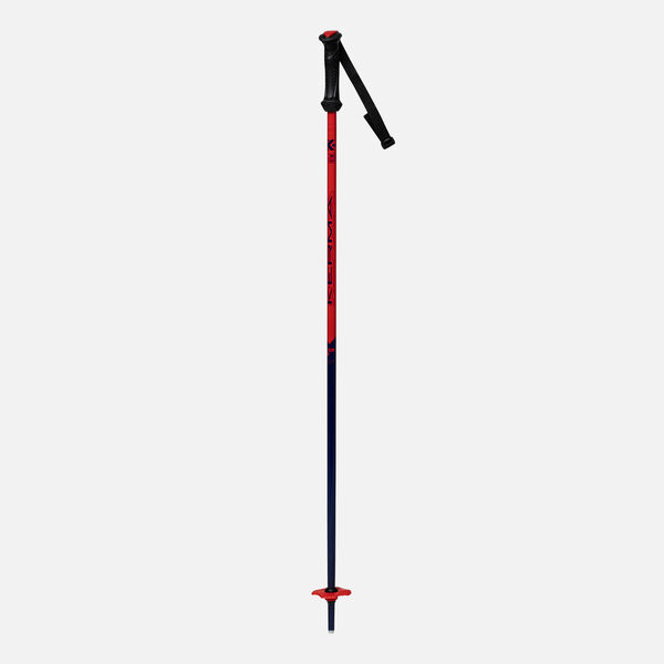Dynastar | Lange Junior ski poles Vector Team black