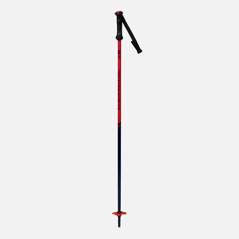 Dynastar | Lange Junior ski poles Vector Team