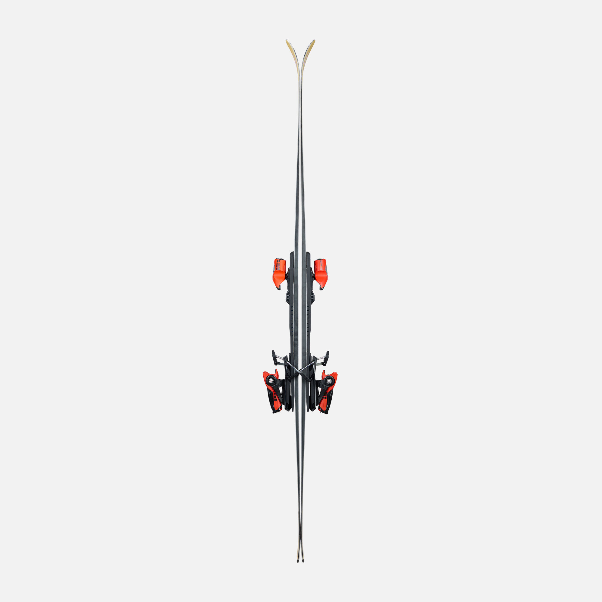 Ski Dynastar SPEED MASTER SL GOLD EDITION R22 | Racing | Dynastar
